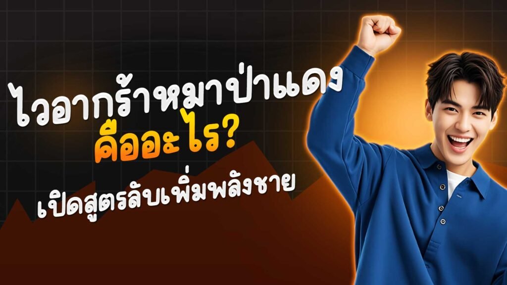ไวอากร้าหมาป่าแดงคืออะไร? เปิดสูตรลับเพิ่มพลังชาย
