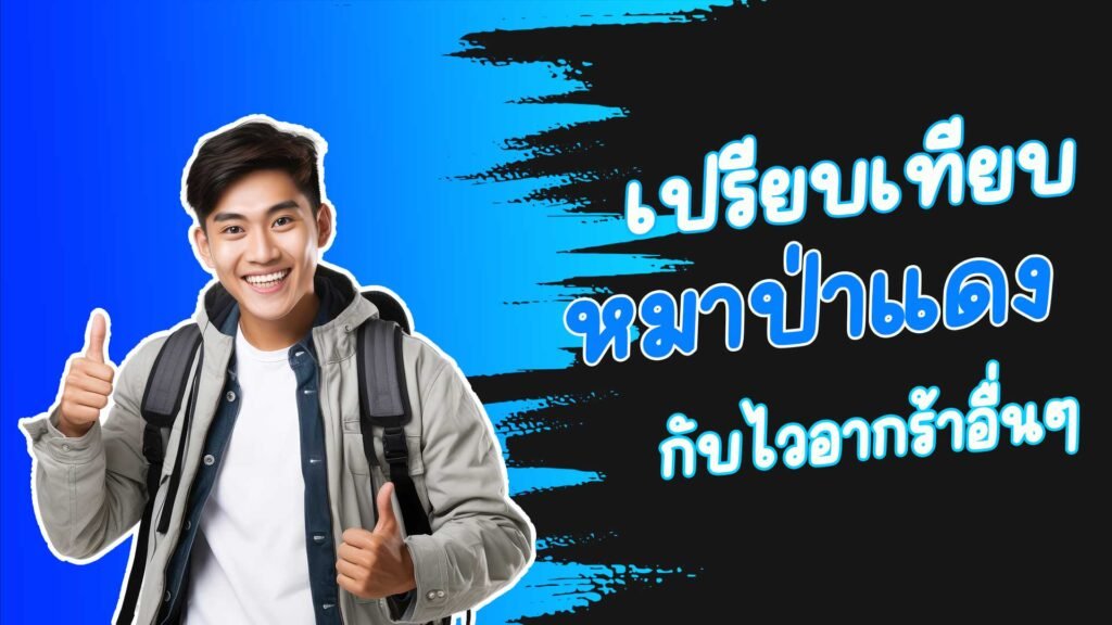 เปรียบเทียบไวอากร้าหมาป่าแดงกับไวอากร้าอื่นๆ ตัวไหนเหมาะกับคุณ