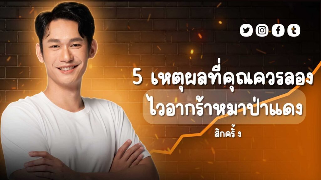 5 เหตุผลที่คุณควรลองไวอากร้าหมาป่าแดงสักครั้ง